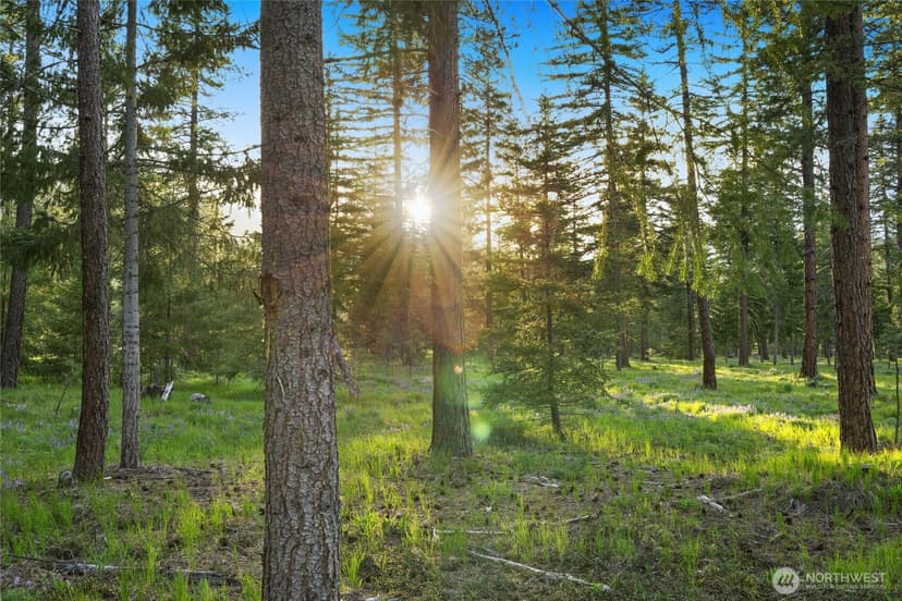 Property photo for 1001 Domerie Park Loop, Cle Elum photo 3