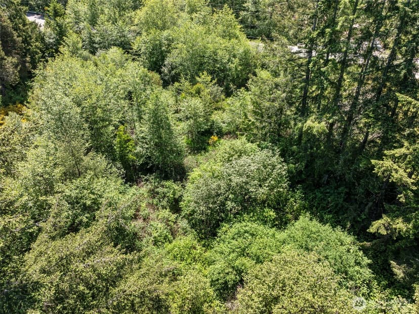 Property photo for 4213 SE Salmonberry Road, Port Orchard photo 19