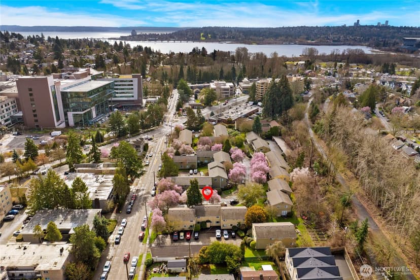 Property photo for 4877 Terrace Drive NE, Seattle photo 29