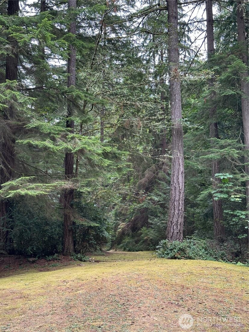Property photo for 3649 Long Lake Road SE, Port Orchard photo 37