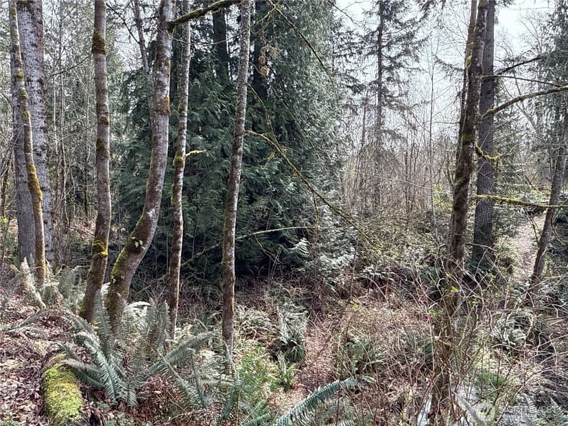 Property photo for 22 XXX 212th Avenue SE, Maple Valley photo 13