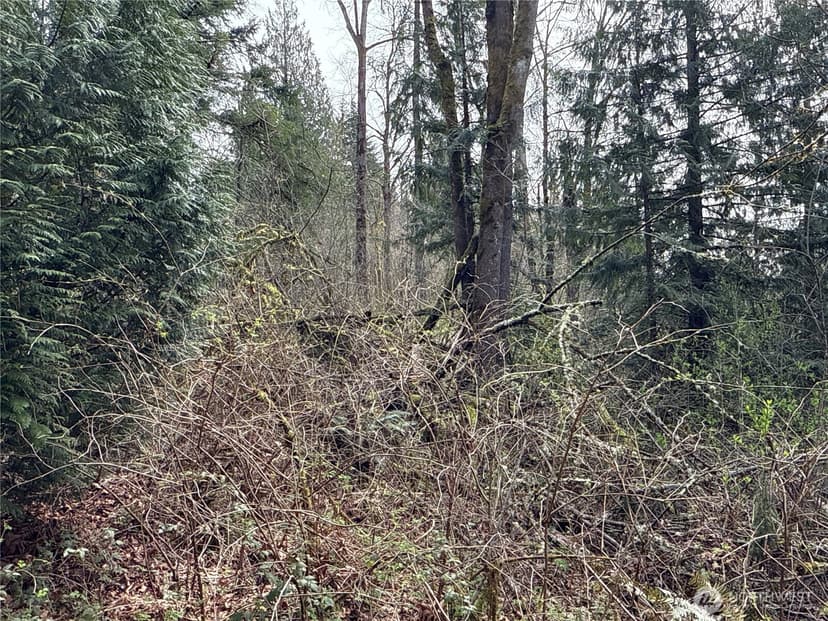 Property photo for 22 XXX 212th Avenue SE, Maple Valley photo 20