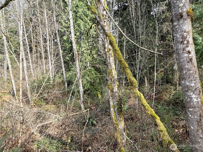 Property photo for 22 XXX 212th Avenue SE, Maple Valley photo 10