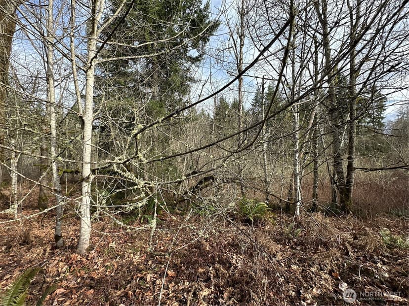 Property photo for 22 XXX 212th Avenue SE, Maple Valley photo 24
