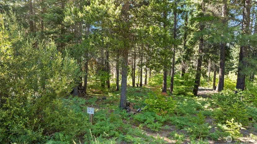Property photo for 131 Goat Creek Lane, Cle Elum photo 5