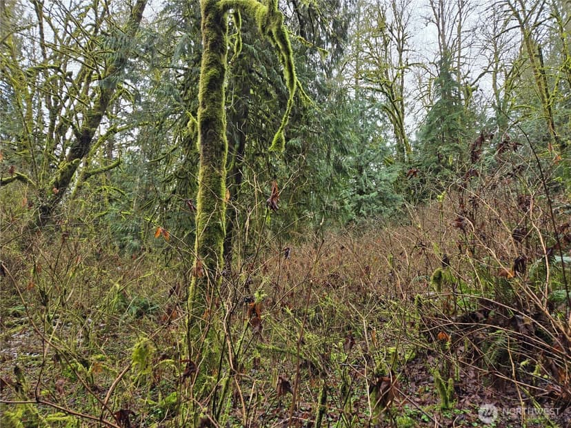 Property photo for 183 xx 123rd (Southern Lot) Avenue NE, Arlington photo 15
