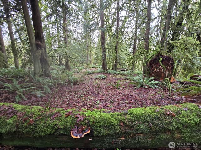 Property photo for 183 xx 123rd (Southern Lot) Avenue NE, Arlington photo 4