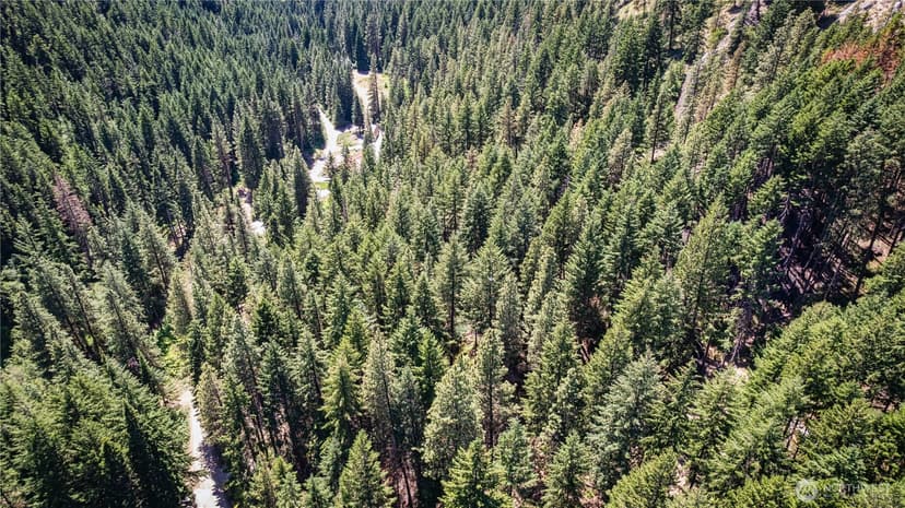 Property photo for 16757 Second Creek Road, Leavenworth photo 19