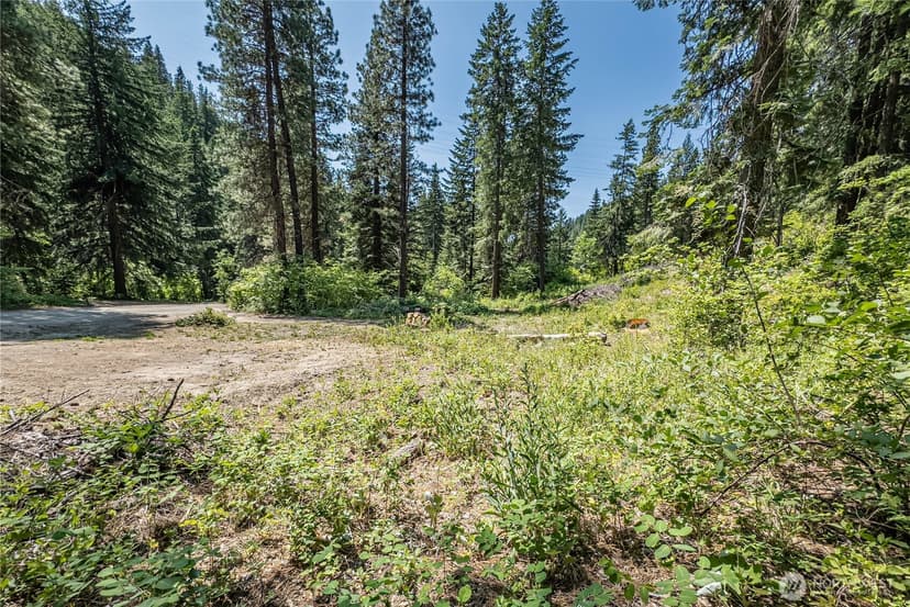 Property photo for 16757 Second Creek Road, Leavenworth photo 8