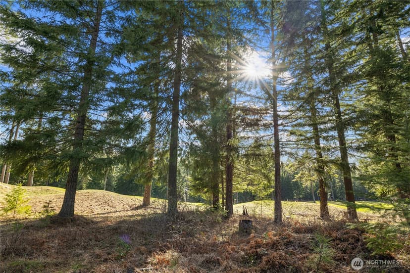 Property photo for 130 Rocking Chair Road, Cle Elum photo 2