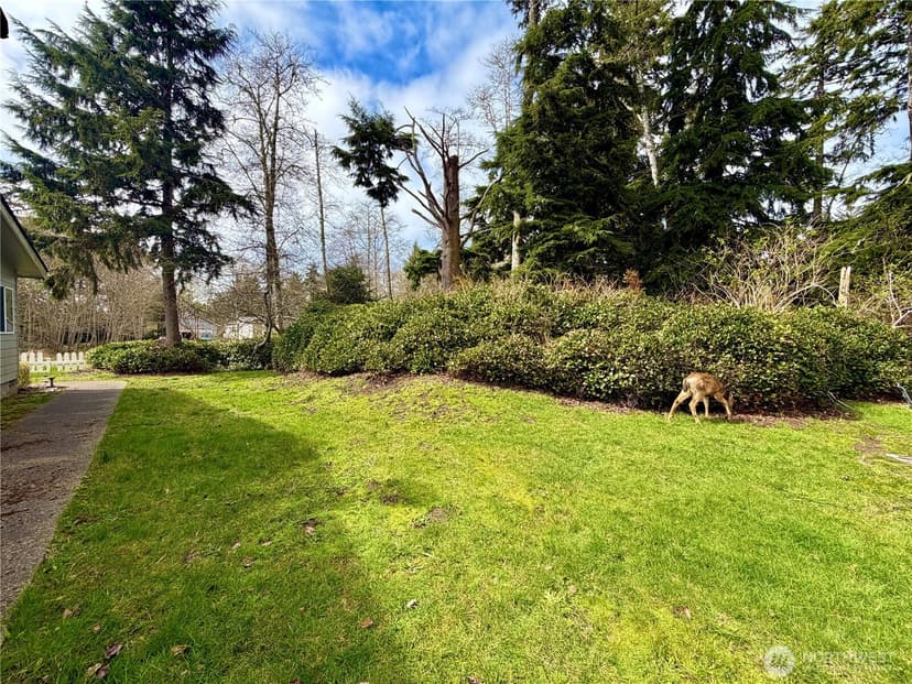 Property photo for 620 Chenois Avenue NE, Ocean Shores photo 35