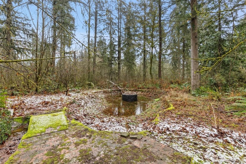 Property photo for 12828 314th Avenue NE, Duvall photo 35