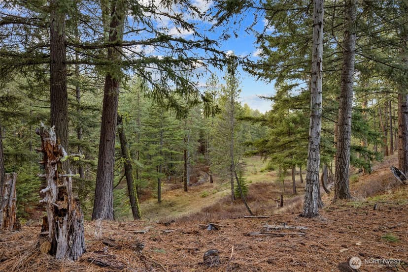 Property photo for 14 Farmhouse Way, Cle Elum photo 14