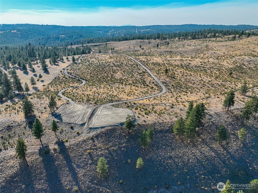 Property photo for 0 Evergreen Camp Rd. Parcel B, Chelan photo 8