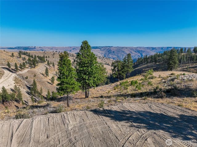 Property photo for 0 Evergreen Camp Rd. Parcel C, Chelan photo 5