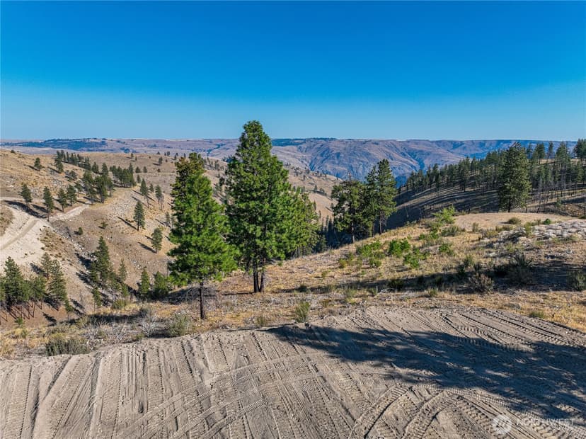 Property photo for 0 Evergreen Camp Rd. Parcel C, Chelan photo 5