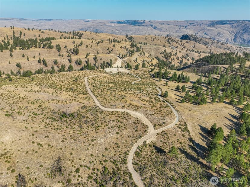 Property photo for 0 Evergreen Camp Rd. Parcel C, Chelan photo 17