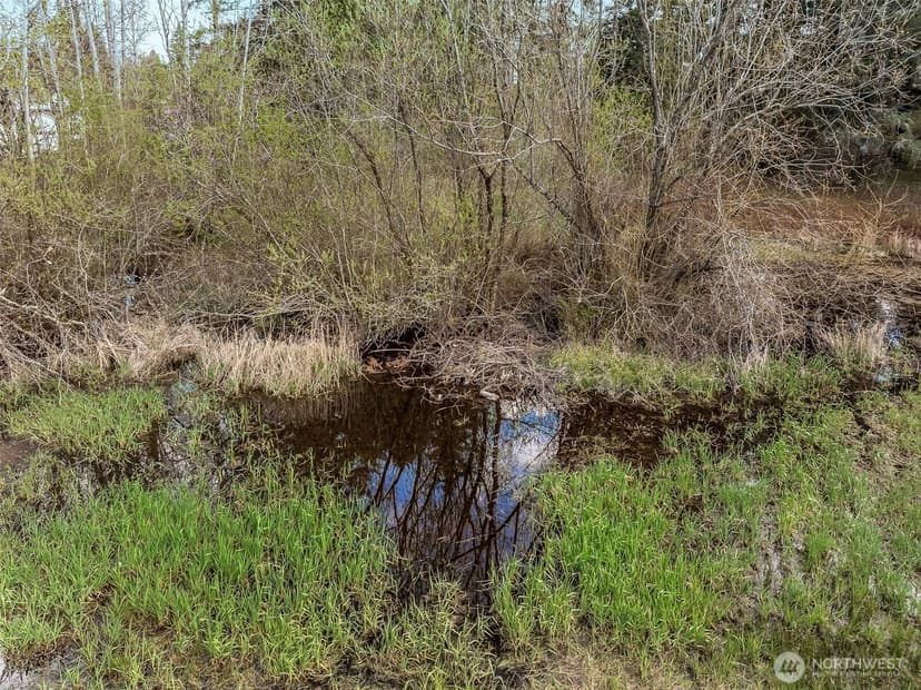 Property photo for 11610 45th Street E, Edgewood photo 32