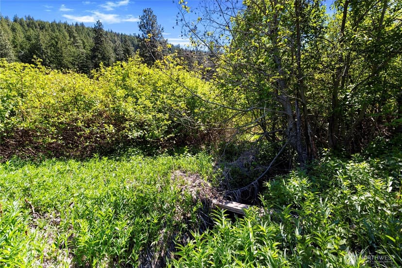 Property photo for 1111 Chumstick Highway, Leavenworth photo 8