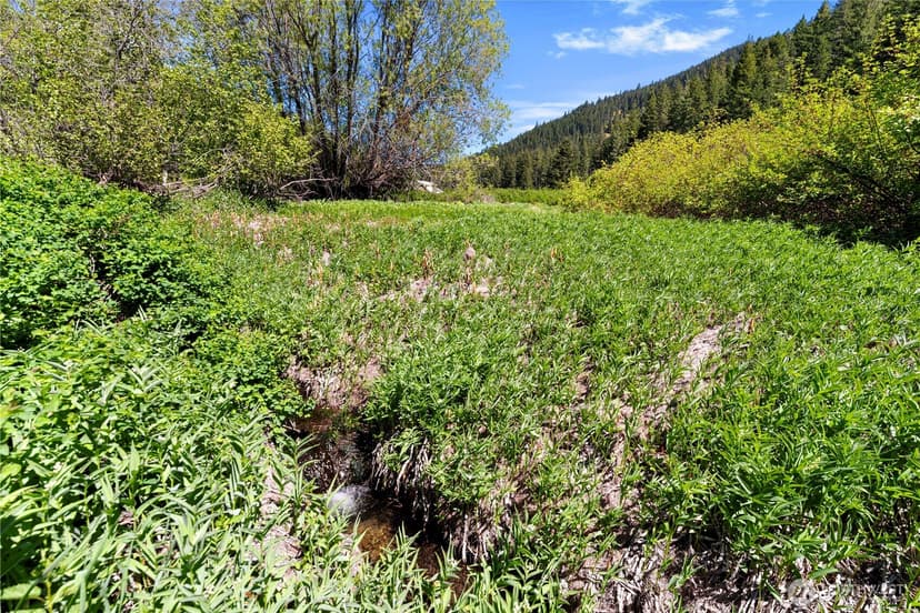 Property photo for 1111 Chumstick Highway, Leavenworth photo 7