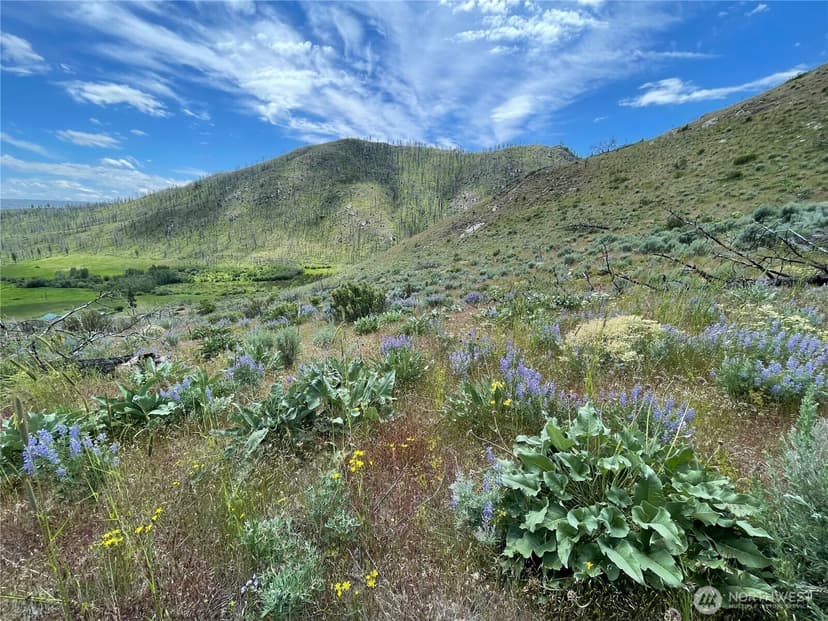 Property photo for 436 Antoine Creek Road #Lot I, Chelan photo 2