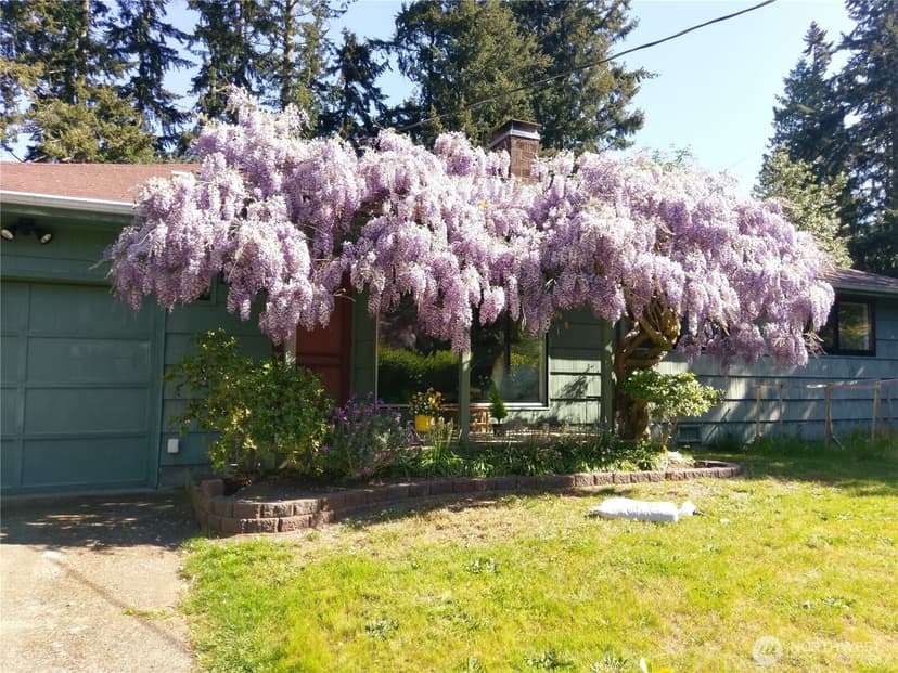 Property photo for 1840 NE 171 Street, Shoreline photo 6