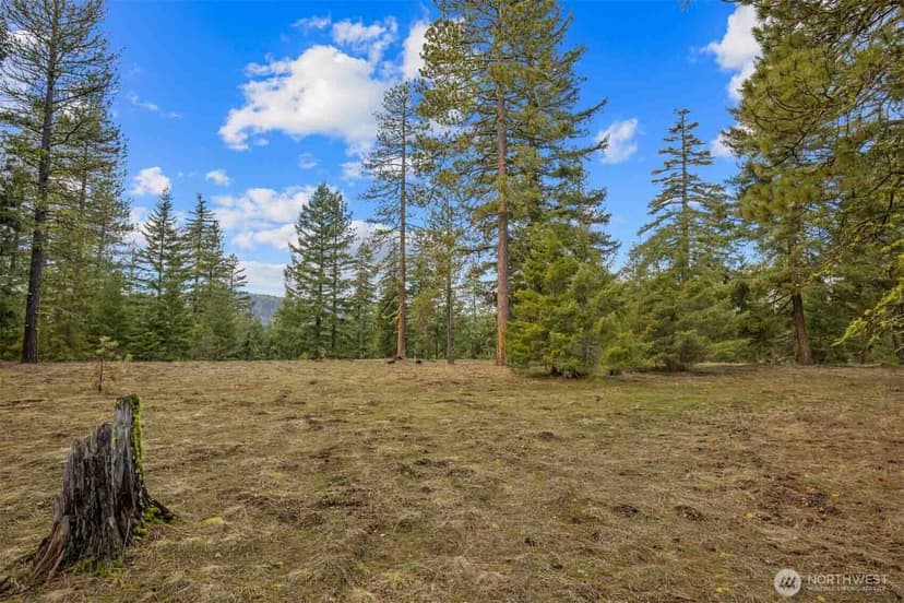 Property photo for 20 Wanawish Loop, Cle Elum photo 27