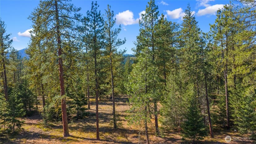 Property photo for 20 Wanawish Loop, Cle Elum photo 12
