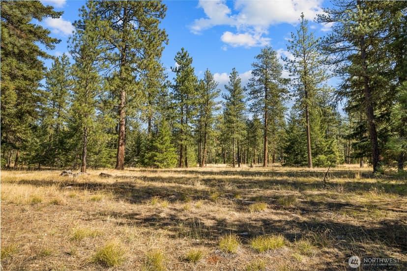 Property photo for 20 Wanawish Loop, Cle Elum photo 4