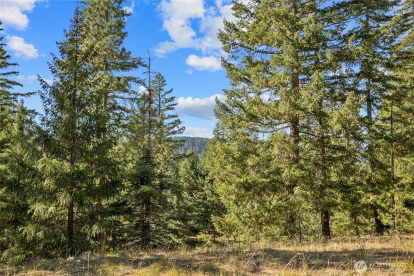 Property photo for 20 Wanawish Loop, Cle Elum photo 6