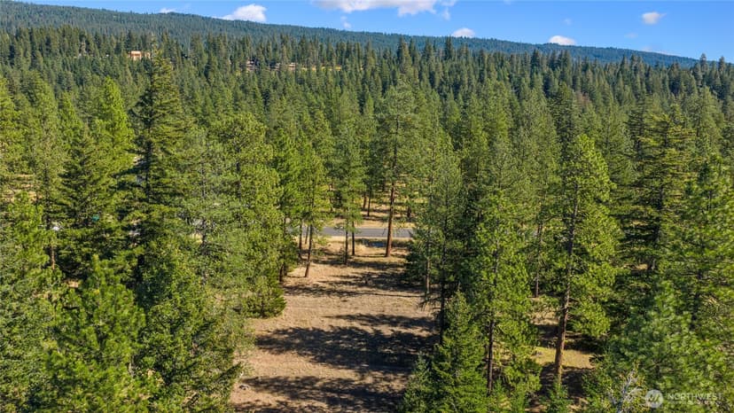 Property photo for 20 Wanawish Loop, Cle Elum photo 14