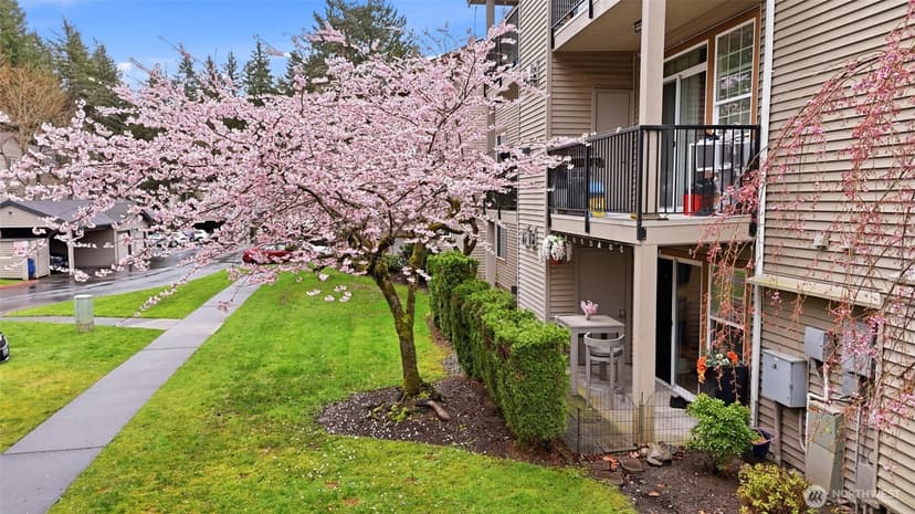 Property photo for 25025 SE Klahanie Boulevard #K101, Sammamish photo 23
