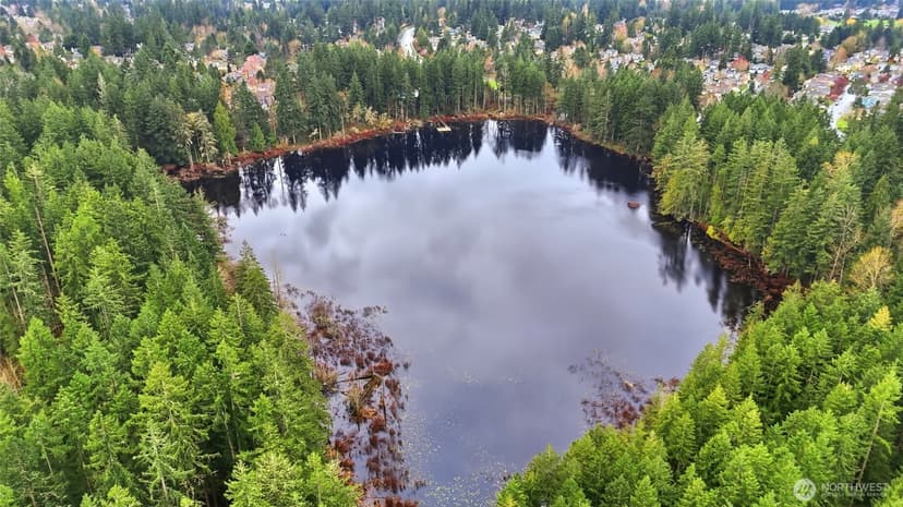 Property photo for 25025 SE Klahanie Boulevard #K101, Sammamish photo 36
