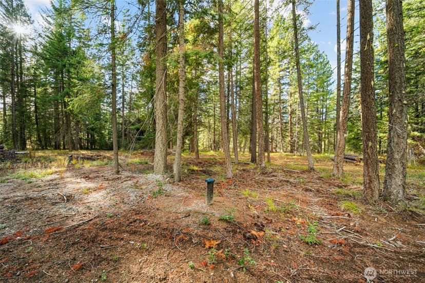 Property photo for 0 S Shugart Flats Road, Leavenworth photo 19