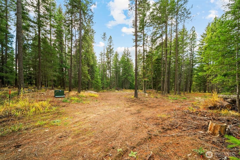 Property photo for 0 S Shugart Flats Road, Leavenworth