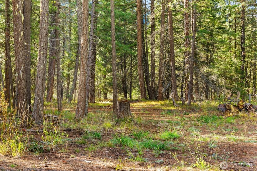 Property photo for 0 S Shugart Flats Road, Leavenworth photo 26