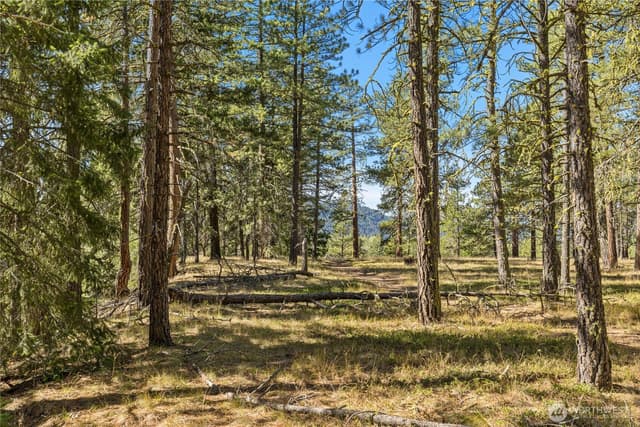 Property photo for 36 Wanawish Loop, Cle Elum photo 4