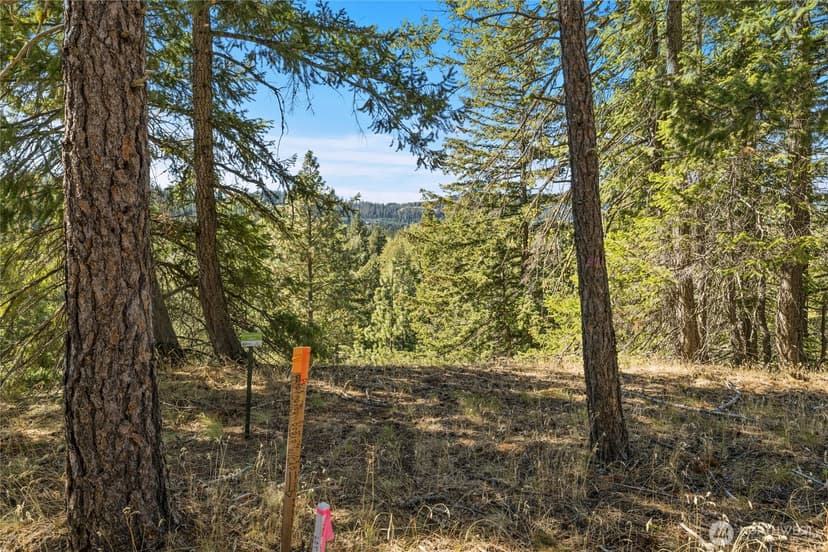 Property photo for 36 Wanawish Loop, Cle Elum photo 3