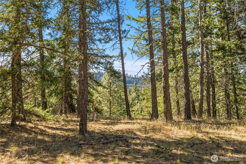 Property photo for 36 Wanawish Loop, Cle Elum photo 2