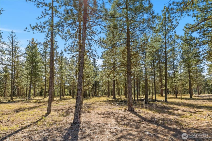 Property photo for 36 Wanawish Loop, Cle Elum photo 5