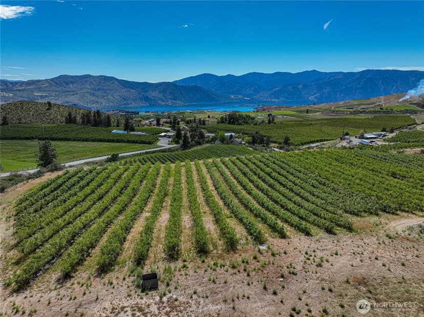 Property photo for 173 Chelan Ranch Road, Chelan photo 7