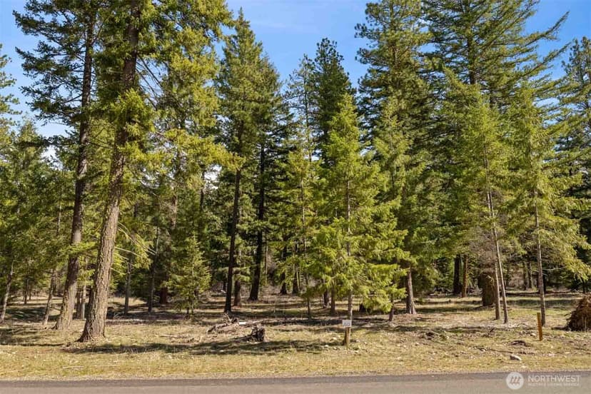 Property photo for 60 Wanawish Loop, Cle Elum photo 27