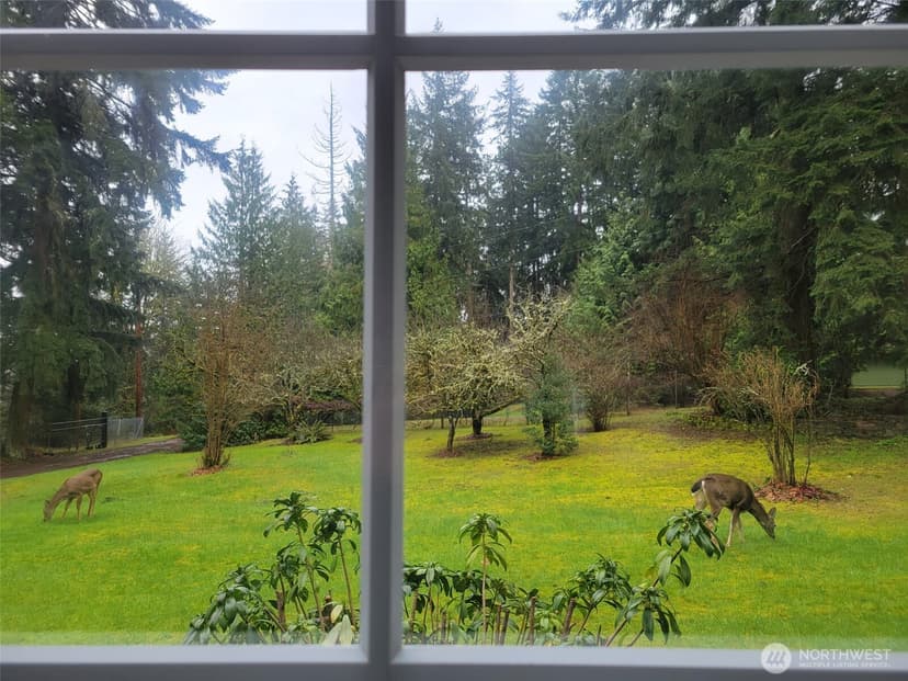 Property photo for 16827 41st Street E, Lake Tapps photo 34