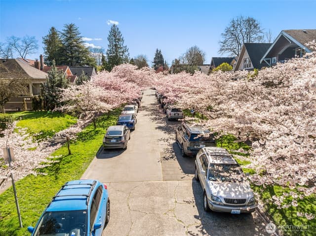 Property photo for 5519 12th Avenue NE, Seattle photo 2