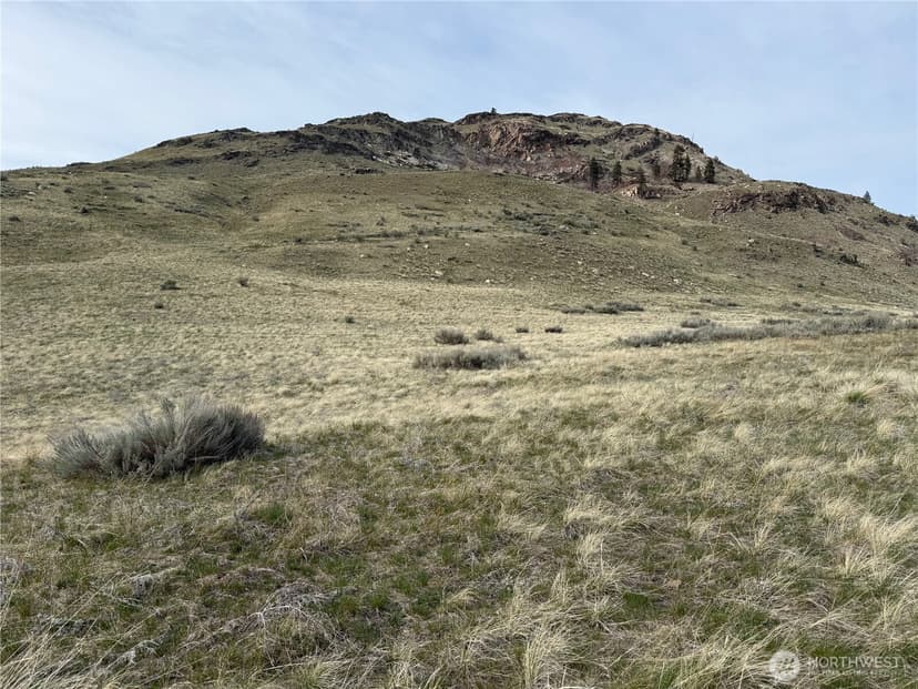 Property photo for 2830 Antoine Creek Road, Chelan photo 7