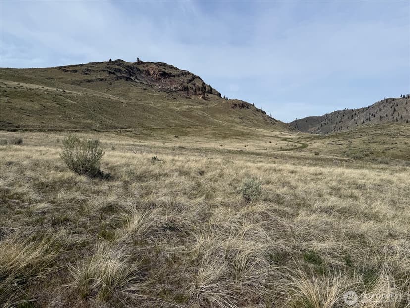 Property photo for 2830 Antoine Creek Road, Chelan photo 13