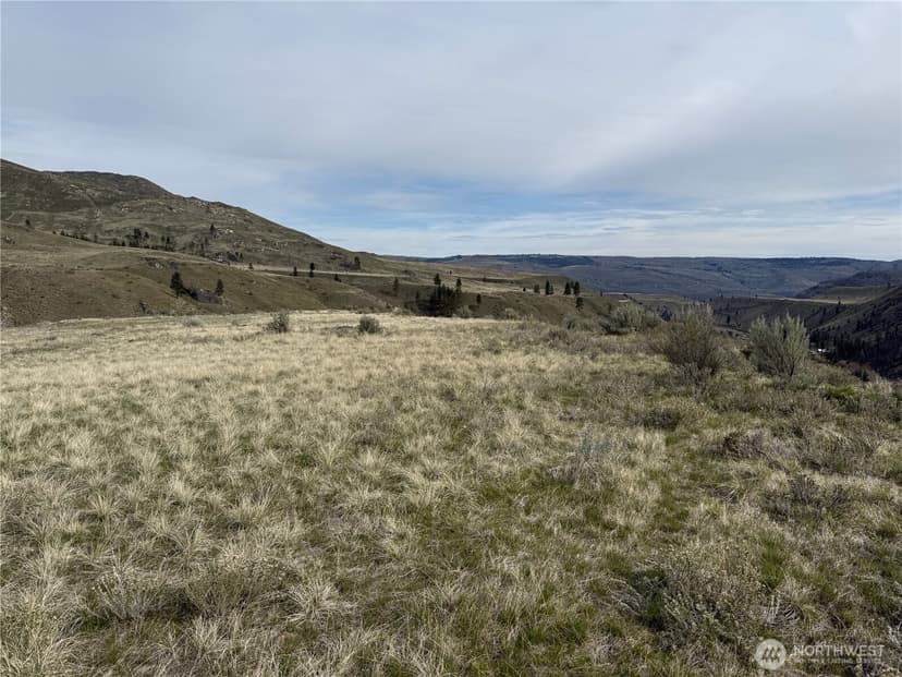 Property photo for 2830 Antoine Creek Road, Chelan