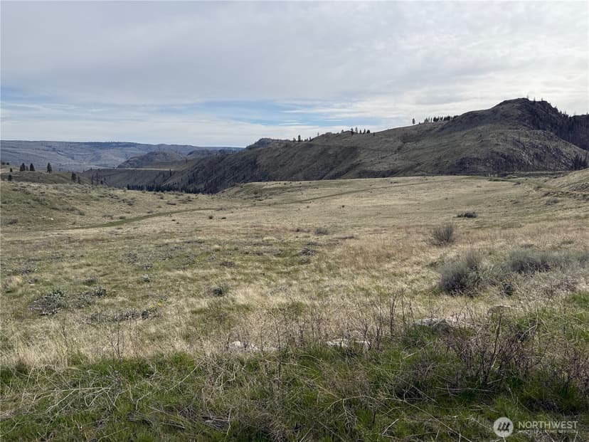 Property photo for 2830 Antoine Creek Road, Chelan photo 8