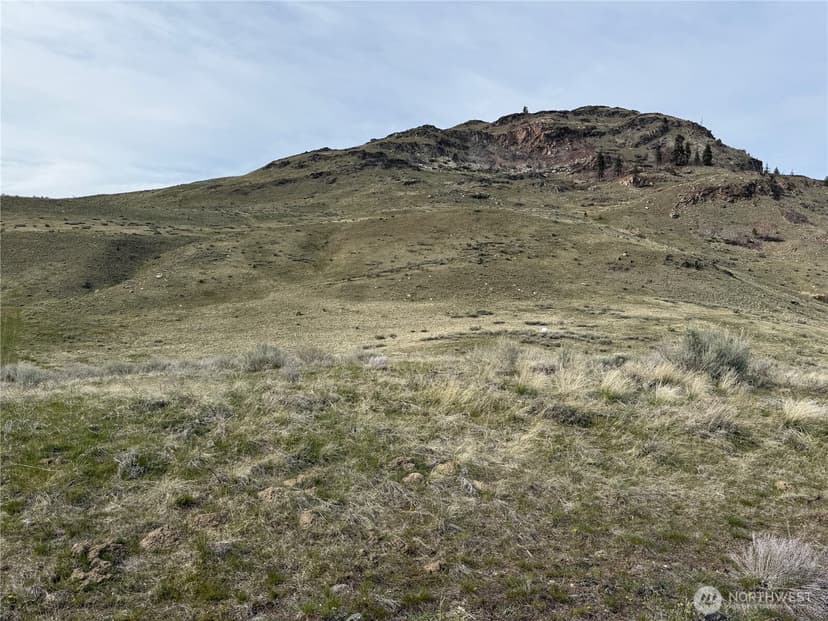 Property photo for 2830 Antoine Creek Road, Chelan photo 6