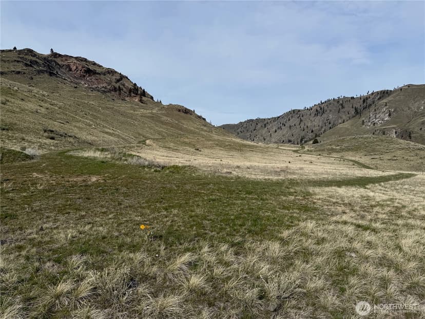 Property photo for 2830 Antoine Creek Road, Chelan photo 9